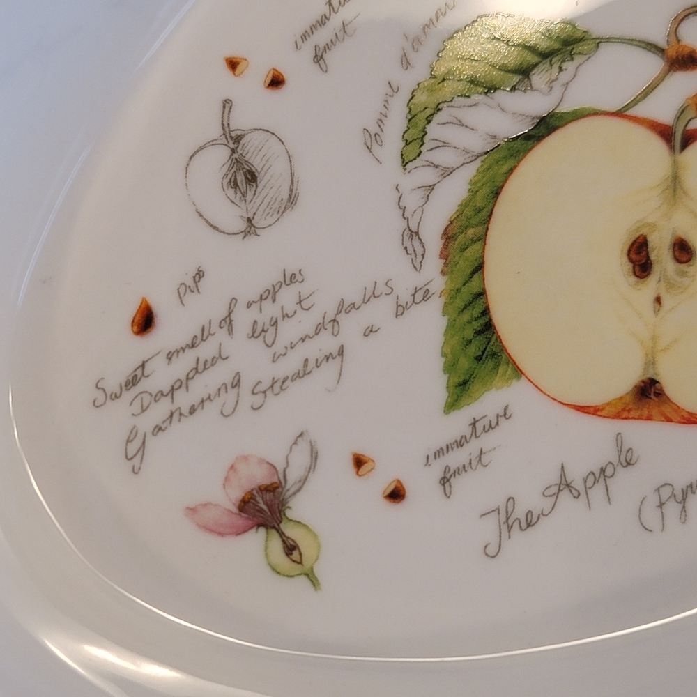 NWOT Oval Baking Dish Kent Pottery New Fruit Collection Apple Oblong Casserole - Picture 10 of 12